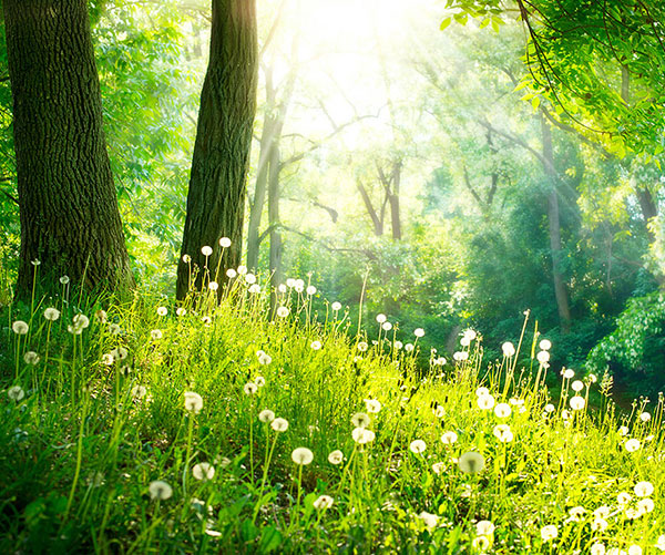 Leben_mit_Achtsamkeit_600x500