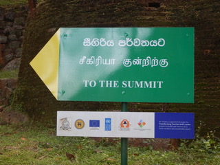 DSCN6848